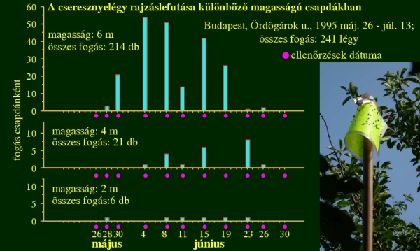 fig17