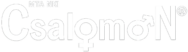 cropped logo cs.png